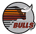Bulls
logo