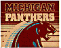 Panthers logo